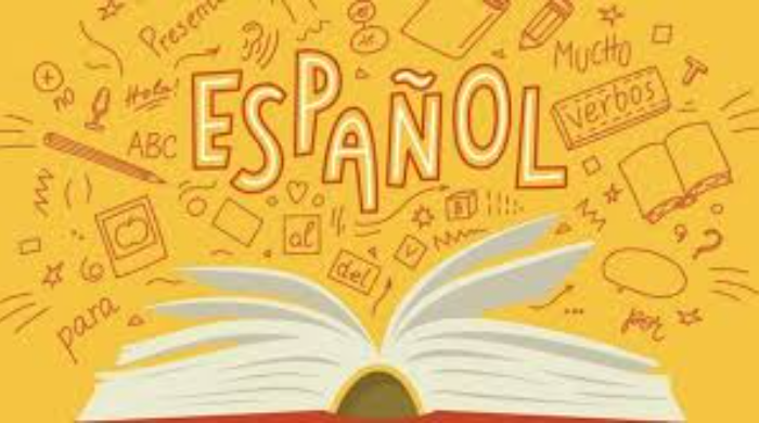 Eu vou traduzir seus textos; livros; e-books de espanhol pra pt. Entonz Freelancer